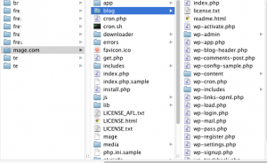 Folder strucure, Magento-Wordpress