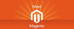 Meet Magento Russia 2013