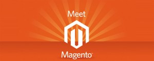 Meet Magento Russia 2013