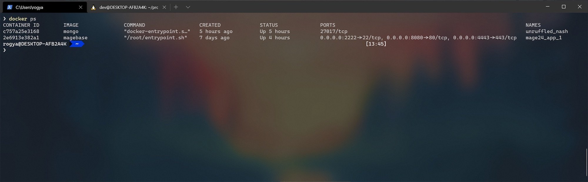 Docker Containers List on Windows | Atwix Docker Containers List on Windows