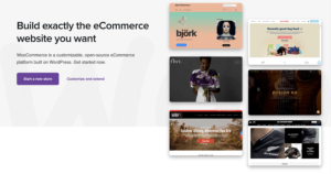 WooCommerce open-source ecommerce platform