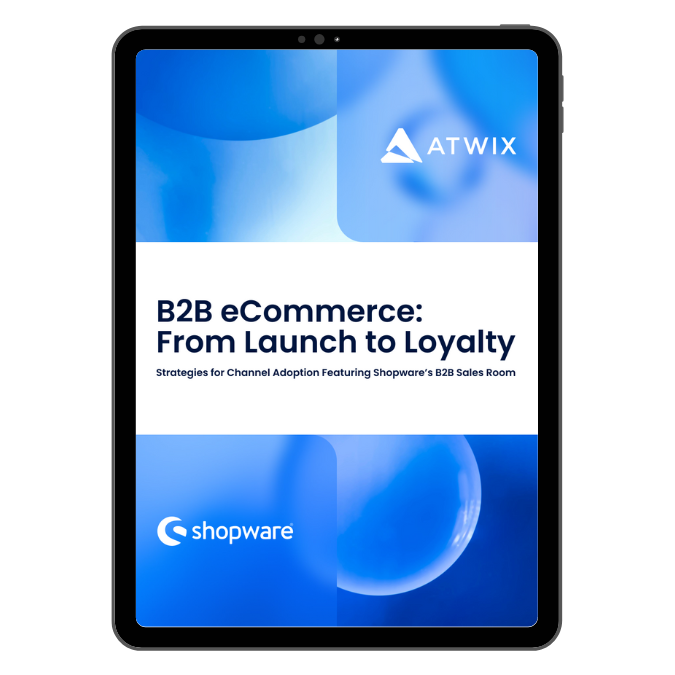 B2b Ecommerce Ebook